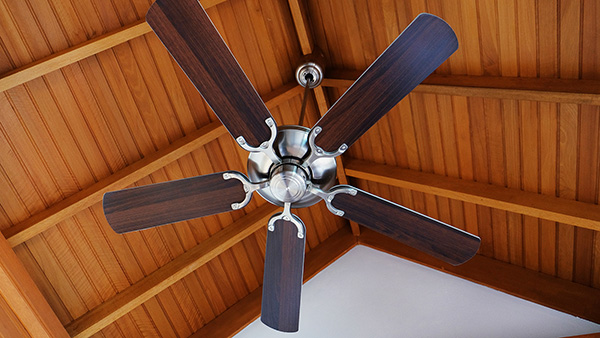 indoor ceiling fan